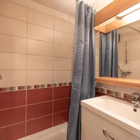Les Dorines 310 - 6 Personnes Appartement *